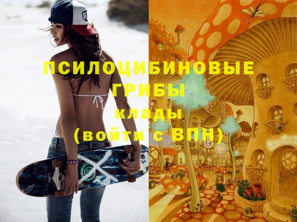 первитин Армянск