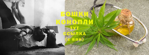 MESCALINE Аркадак