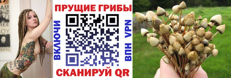 Псилоцибиновые грибы ЛСД  Слободской 